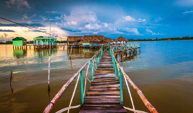 TOUR DU LỊCH CÀ MAU 2 NGÀY 1 ĐÊM  -  HÀNH TRÌNH CHẠM TAY VÀO CỰC NAM TỔ QUỐC