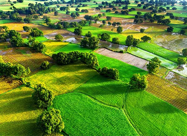Bảng giá Tour ghép đoàn miền Tây 2024 giá tốt khởi hành hằng ngày 