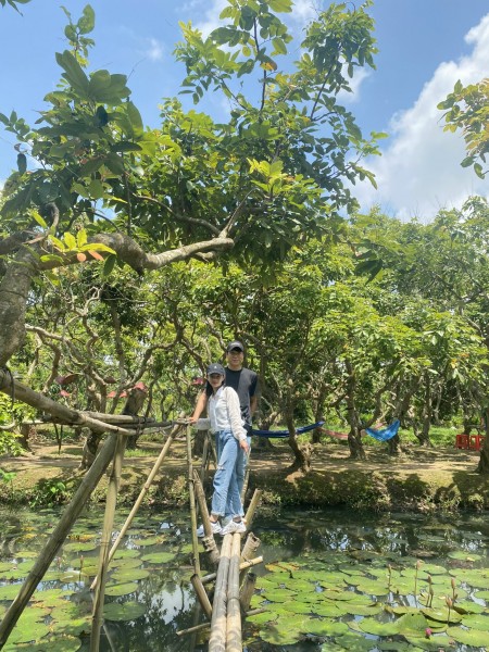 Miền Tây: Tour Cồn Sơn - vườn trái cây - thưởng thức trái cây sạch - thưởng thức nước hoa đậu biết - xem biểu diễn cá lóc bay (buổi chiều)