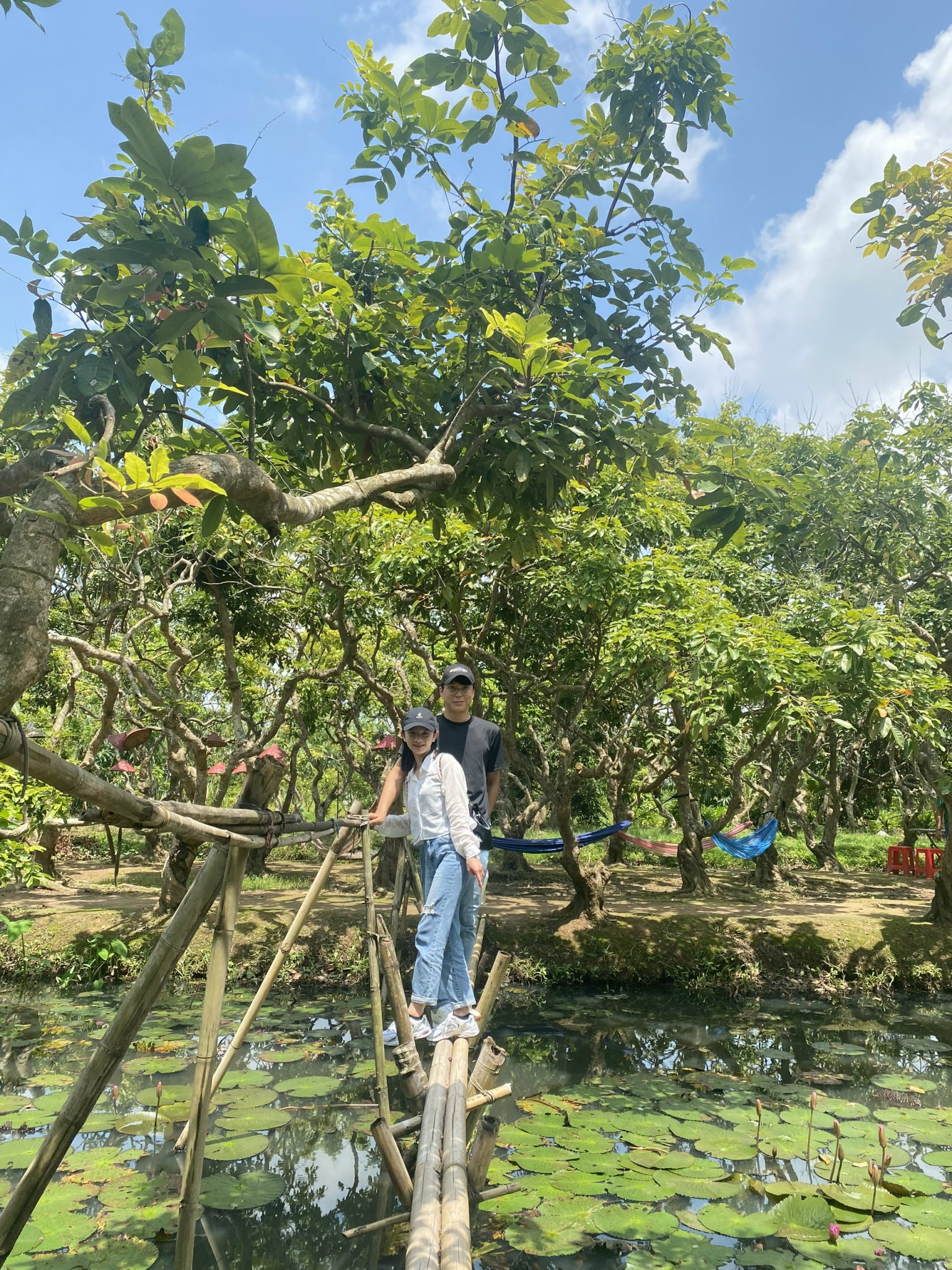  Miền Tây: Tour Cồn Sơn - vườn trái cây - thưởng thức trái cây sạch - thưởng thức nước hoa đậu biết - xem biểu diễn cá lóc bay (buổi chiều)